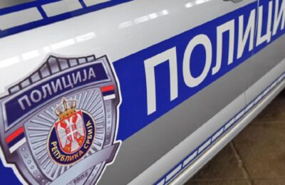 Još jedan konj stradao u udesu kod Niša: Krdo od oko 30 konja kreće se bez nadzora