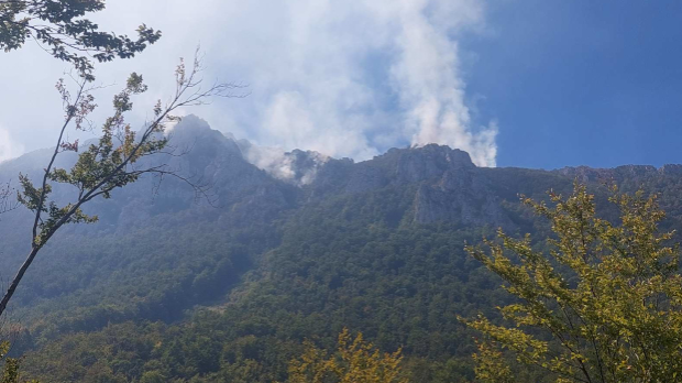 Borba sa više od 30 požara širom Srbije