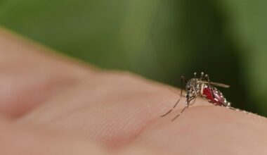 Do sad zabeleženo 37 slučajeva obolelih