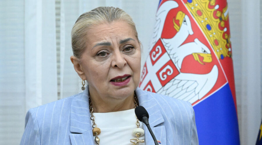 Sofronijević: Do kraja godine biće gotova nova železnička stanica Novi Beograd, radovi bezbedni