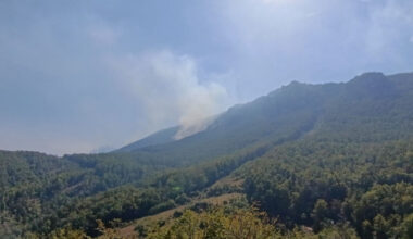 Aktivna 44 požara na otvorenom: Šesti dan traje borba sa požarom na Suvoj planini, vanredno u delu Niške Banje