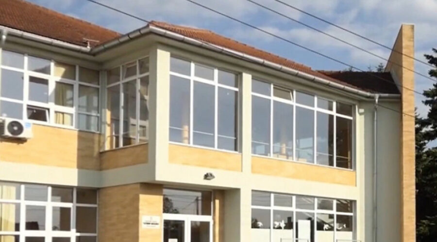 Slučaj vršnjačkog nasilja u Mrčajevcima: Osetljiva granica između zaštite maloletnika i potrage za istinom