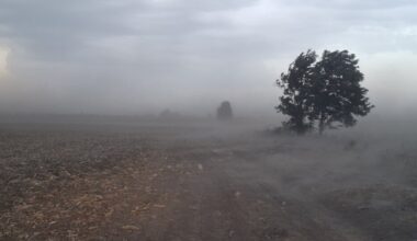 Jak vetar večeras zahvatio Zapadnobački okrug, temperatura pada, počela i kiša (VIDEO)