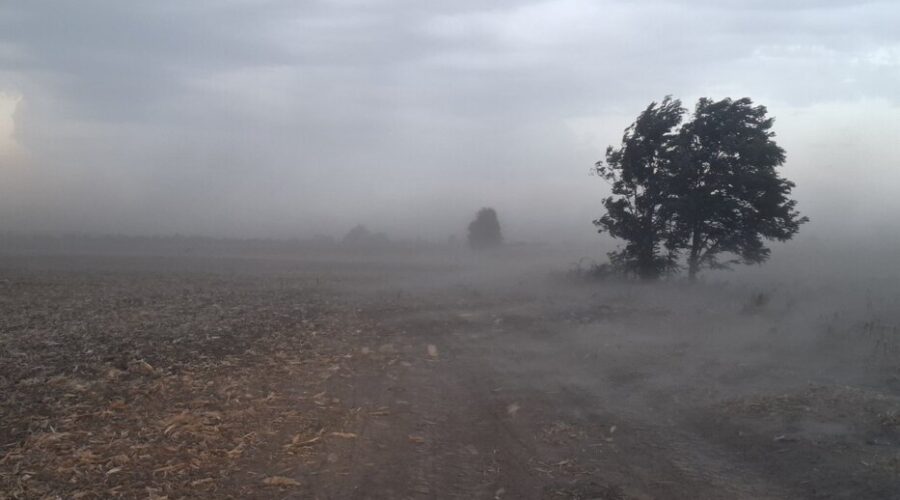 Jak vetar večeras zahvatio Zapadnobački okrug, temperatura pada, počela i kiša (VIDEO)