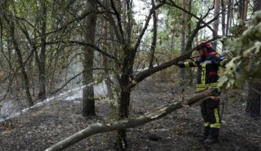 Ugašeni požari na Rudnoj glavi i kod Golubinja, spaseno deset domaćinstava