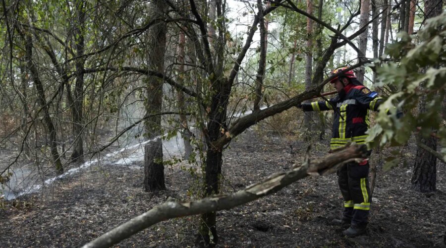 Ugašeni požari na Rudnoj glavi i kod Golubinja, spaseno deset domaćinstava
