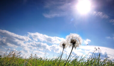 Pravo zahlađenje tek stiže! Vojvodina prva osetila promenu Temperatura naglo pada, a prete i grmljavine