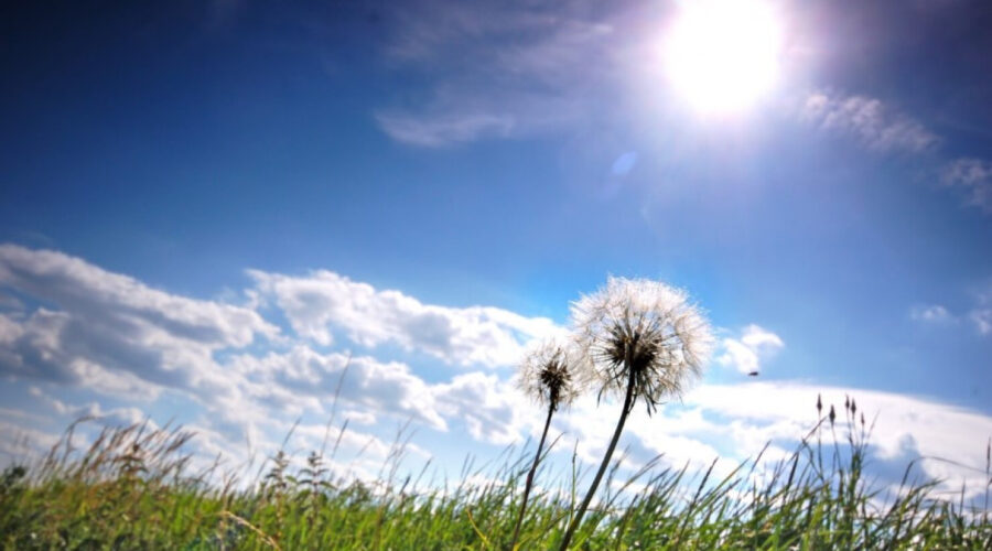 Pravo zahlađenje tek stiže! Vojvodina prva osetila promenu Temperatura naglo pada, a prete i grmljavine