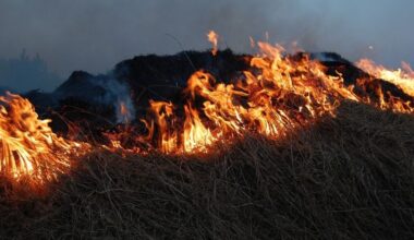VIDEO: Više od 500 osoba evakuisano sa Brača zbog požara, dvoje povređeno