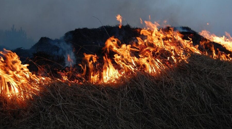 VIDEO: Više od 500 osoba evakuisano sa Brača zbog požara, dvoje povređeno