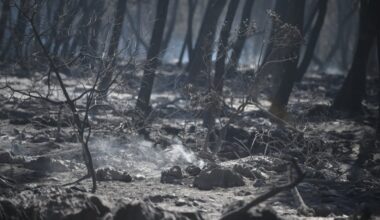 Zbog požara na Braču evakuisano više od 700 osoba