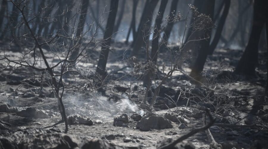 Zbog požara na Braču evakuisano više od 700 osoba