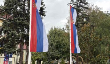DAN SRPSKOG JEDINSTVA, SLOBODE I NACIONALNE ZASTAVE: U Sremskoj Mitrovici podeljeno više od 23.000 zastava