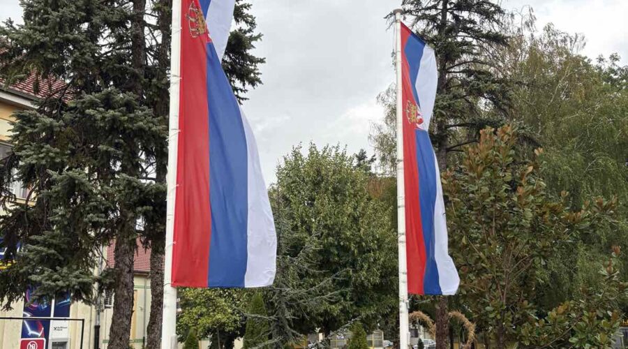 DAN SRPSKOG JEDINSTVA, SLOBODE I NACIONALNE ZASTAVE: U Sremskoj Mitrovici podeljeno više od 23.000 zastava