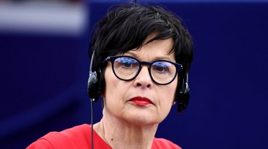 Kos u odgovoru hrvatskoj evroposlanici: Veličanje ratnih zločinaca je nespojivo sa vrednostima EU