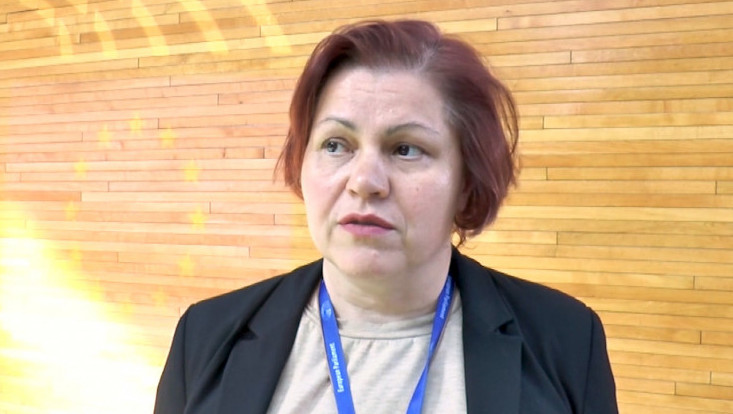 Viček: Za Srbiju važno što je proširenje visoko među strateškim ciljevima Evropske unije