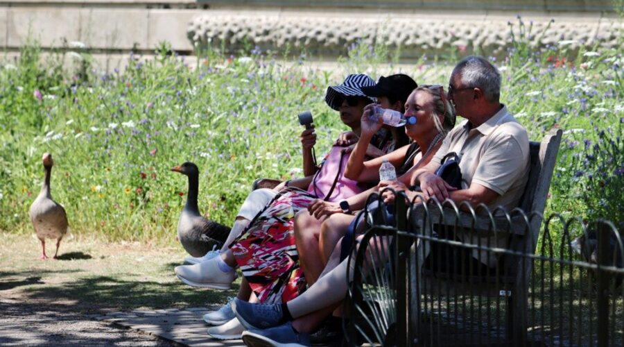 U Francuskoj od maja zbog velikih vrućina preminulo skoro 8.000 ljudi