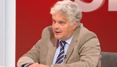 Gajić: Narodna stranka na izbore sa Nestorovićem, bez Vulina