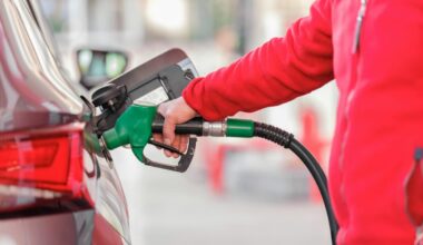 Ministarka energetike: Kompanije prestale da uvoze dizel zbog visokih troškova, neće biti nestašice