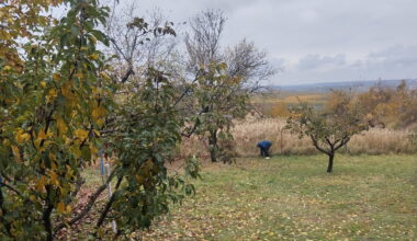 Hladno, promenljivo oblačno uz moguće kratkotrajne pljuskove