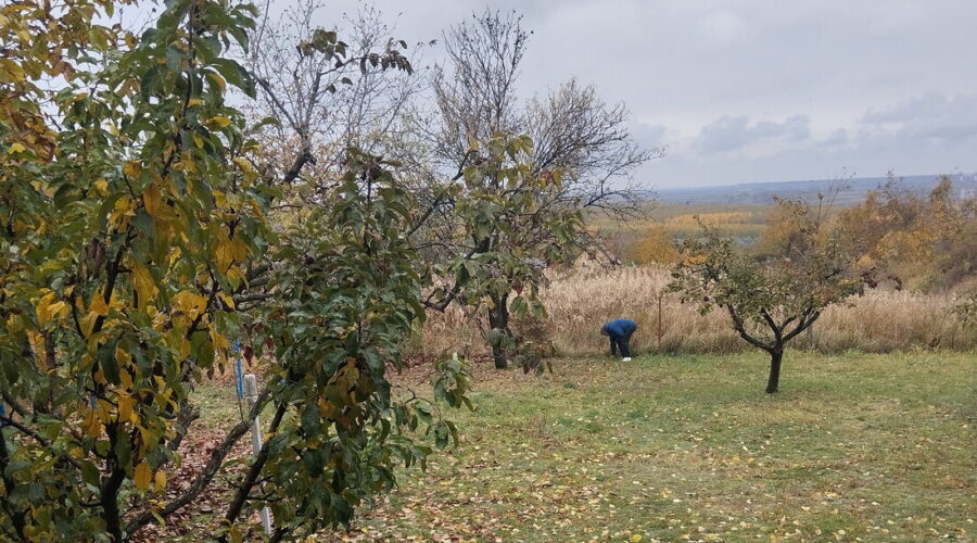 Hladno, promenljivo oblačno uz moguće kratkotrajne pljuskove