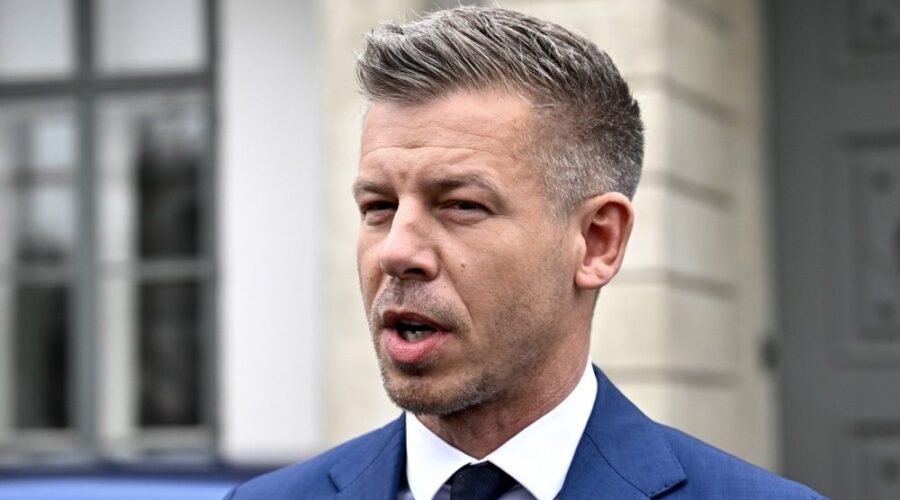 Mađar: Neprihvatljivo da za najveće sumnjive poslove i zločine u Mađarskoj niko ne bude pozvan na odgovornost
