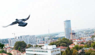 Miholjsko leto stiže u Srbiju: Temperature do 25°C, meteorolog za Euronews Srbija otkriva koliko će potrajati