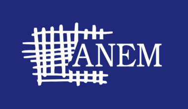 ANEM ALARM: Napadom na Magdalenu Kostić SNS pokazuje da ne želi objektivno praćenje izborne kampanje