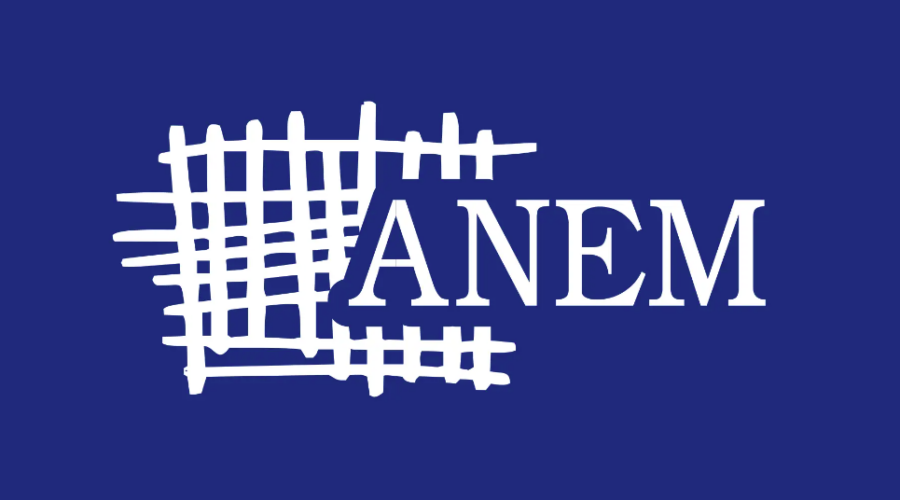ANEM ALARM: Napadom na Magdalenu Kostić SNS pokazuje da ne želi objektivno praćenje izborne kampanje
