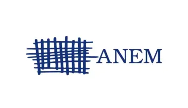 ANEM: Srbija sve više liči na Belorusiju