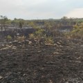 Aktuelni požari na Suvoj planini, u Kragujevcu i Pančevu