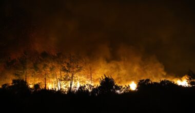 Buktinja na hrvatskom ostrvu Brač: Zbog velikog požara zatvoren put, nestala i struja: Snažan vetar raspiruje vatru (foto)