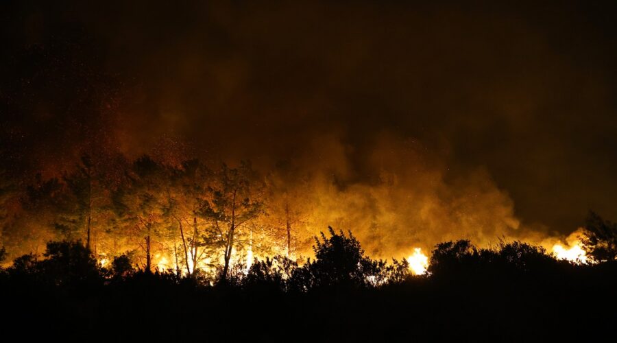 Buktinja na hrvatskom ostrvu Brač: Zbog velikog požara zatvoren put, nestala i struja: Snažan vetar raspiruje vatru (foto)