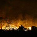 Buktinja na hrvatskom ostrvu Brač: Zbog velikog požara zatvoren put, nestala i struja: Snažan vetar raspiruje vatru (foto)