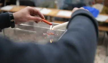 DZVM odlučila da na predstojećim parlamentarnim izborima podrži Studentsku listu