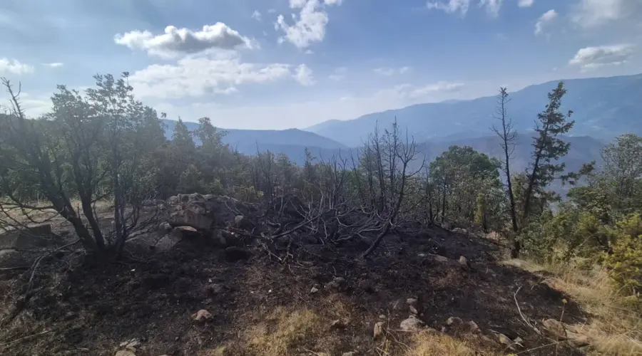 Dačić: Požari na Stolovima i Goču ugašeni