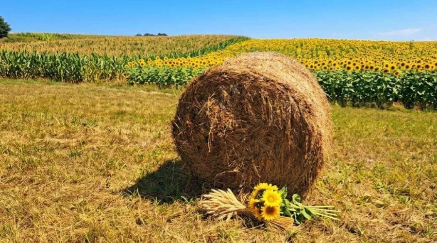 Danas u Srbiji umereno oblačno i toplo vreme uz navišu dnevnu temperaturu 33 stepena