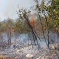 Dim prekrio Suvu planinu: Požar i dalje aktivan na nepristupačnom terenu