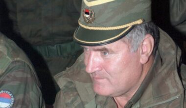 Državljanin BiH osuđen na zatvor zbog objava o Ratku Mladiću