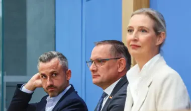 Ekstremno desna AfD može na vlast u Saksoniji-Anhaltu uz pomoć levičarskih populista