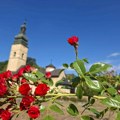 I danas topao dan, najviša dnevna temperatura do 34 stepena