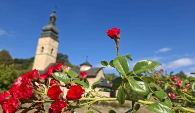 I danas topao dan, najviša dnevna temperatura do 34 stepena