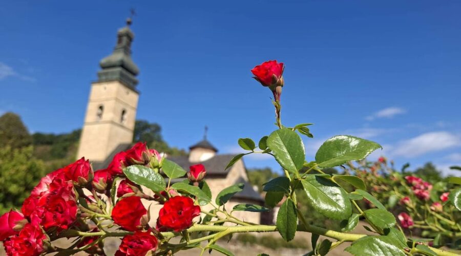 I danas topao dan, najviša dnevna temperatura do 34 stepena