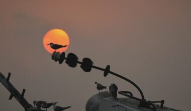 IAEA prijavila Iran Savetu bezbednosti UN zbog nuklearne istrage