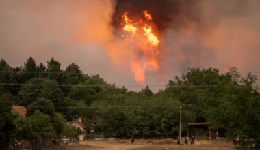 Izmene Zakona o planiranju i izgradnji: Omogućena izgradnja projekata od „javnog interesa“ na šumskom zemljištu oštećenom u požaru