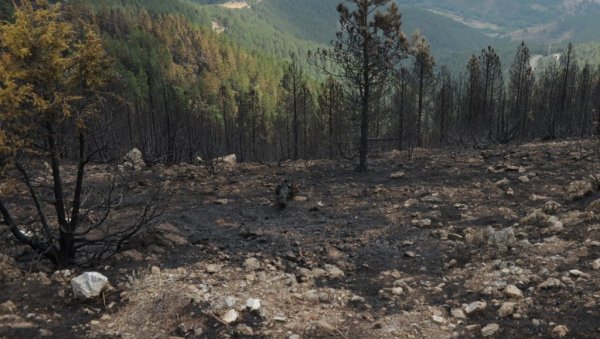 СТОЛОВИ ОДОЛЕЛИ СТИХИЈИ: Коначно локализован пожар на планини повише Краљева СТОЛОВИ ОДОЛЕЛИ СТИХИЈИ: Коначно локализован пожар на планини повише Краљева