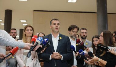 Kreni-promeni tvrdi da funkcioner Ministarstva spoljnih poslova planira opstrukciju biračkih mesta u dijaspori | Srpska dijaspora