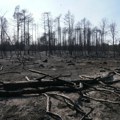 MUP: Lokalizovani požari koji su izbili na planinama Stolovi i Goč; Situacija u Deliblatskoj peščari stabilna