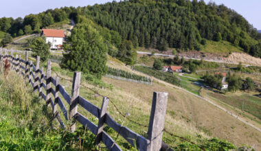 Majke će moći da spoje dve državne subvencije: do 2,5 miliona dinara za kupovinu seoske kuće