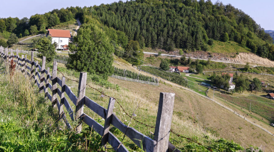 Majke će moći da spoje dve državne subvencije: do 2,5 miliona dinara za kupovinu seoske kuće